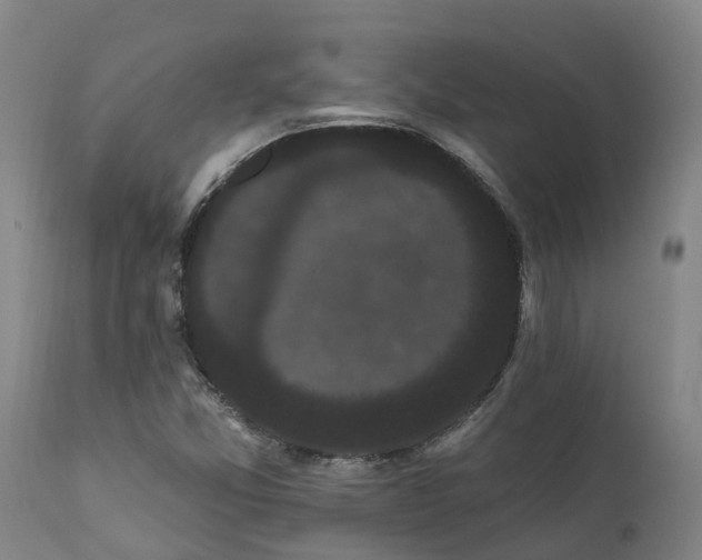 X0000111461357200907201104