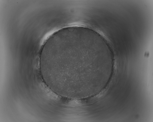 X0000111461358200907201104