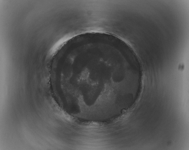 X0000111461359200907201104