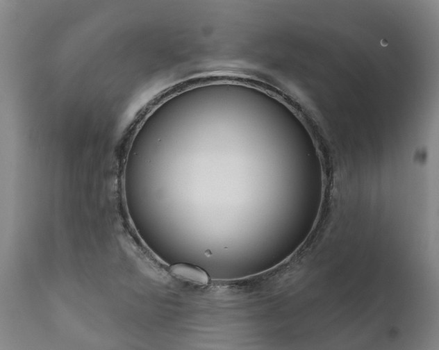 X0000111461360200907201104