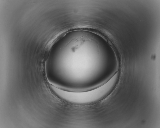 X0000111461361200907201104