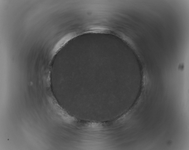 X0000111461362200907201104