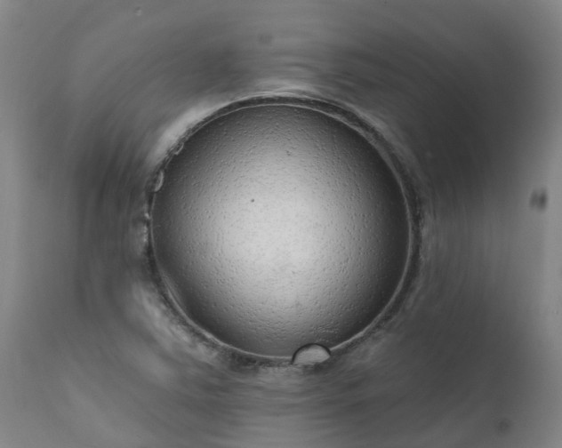 X0000111461363200907201104