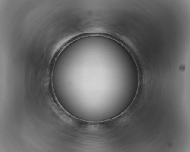 X0000111461364200907201103