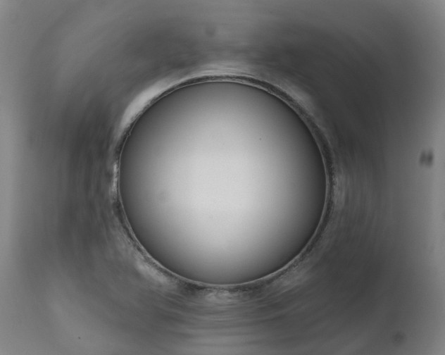 X0000111461366200907201103