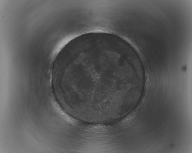 X0000111461367200907201103