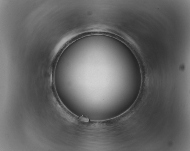 X0000111461368200907201103