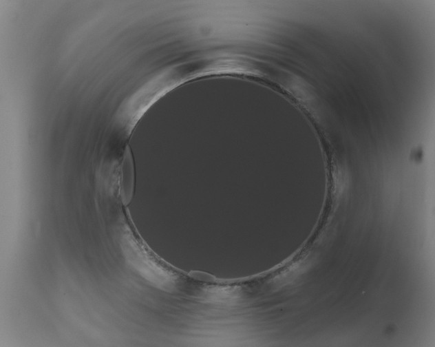 X0000111461369200907201103