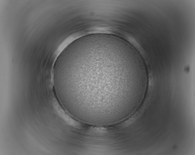 X0000111461370200907201103