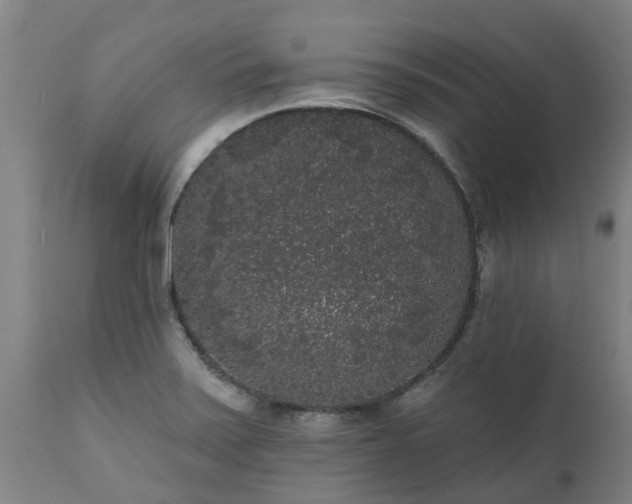 X0000111461371200907201103