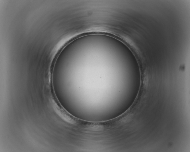 X0000111461372200907201103