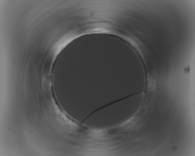 X0000111461373200907201103