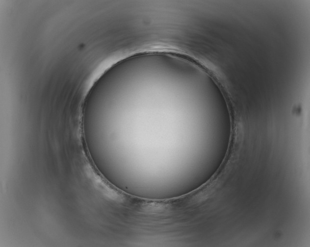 X0000111461374200907201103