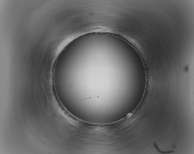 X0000111461375200907201103