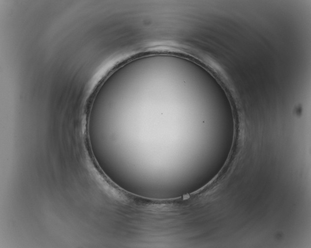 X0000111461376200907201103