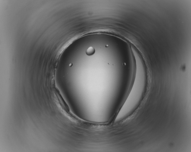 X0000111461377200907201103