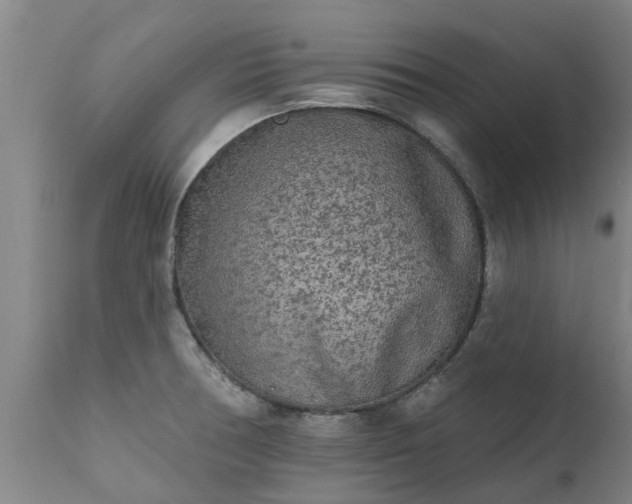 X0000111461378200907201103