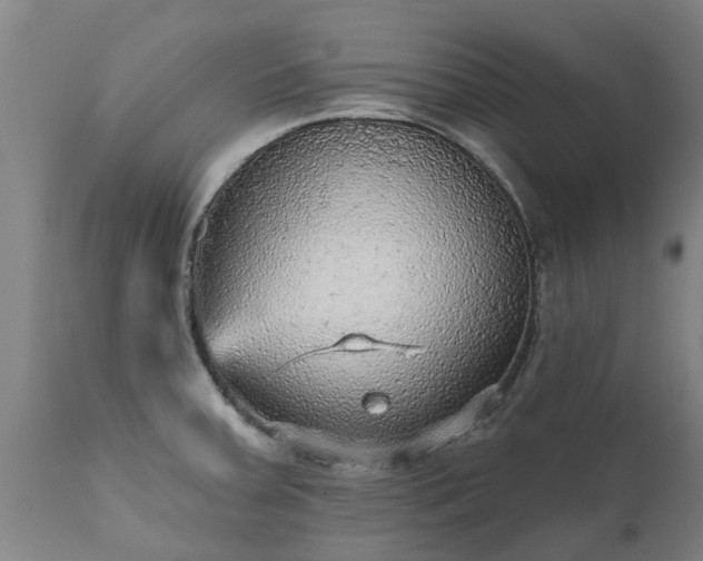 X0000111461379200907201103