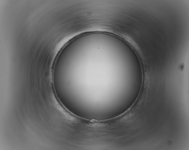 X0000111461380200907201103