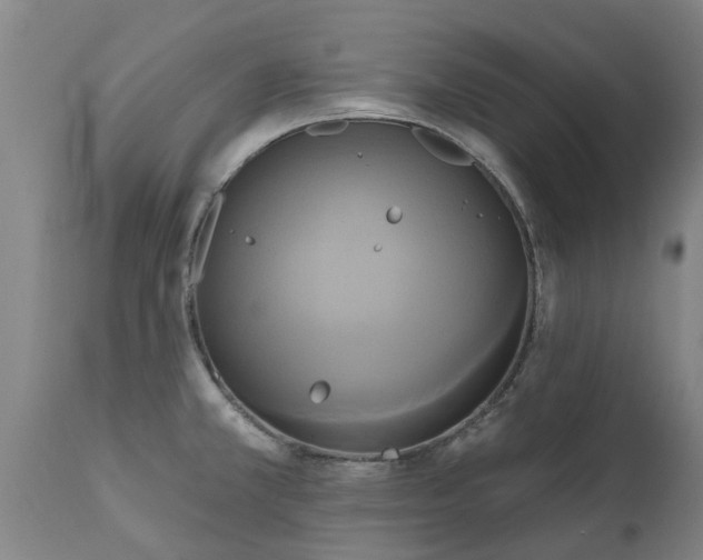 X0000111461381200907201103