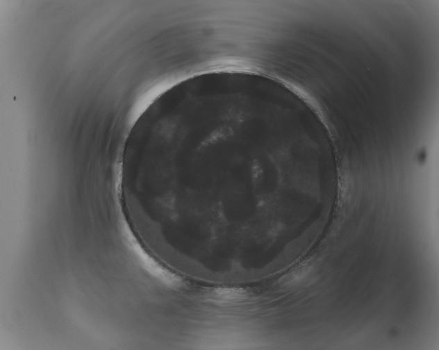 X0000111461383200907201103