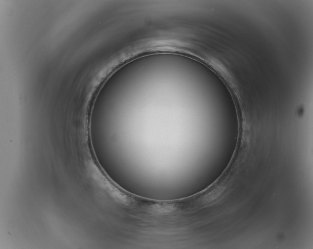 X0000111461384200907201103