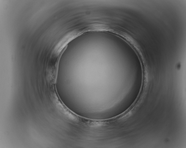 X0000111461385200907201103