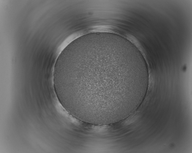 X0000111461386200907201103