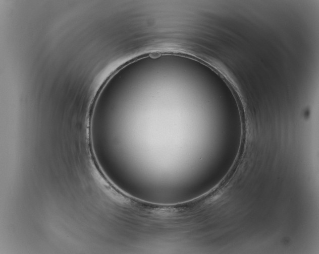 X0000111461388200907201103