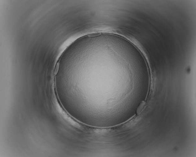 X0000111461389200907201103