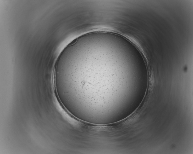 X0000111461391200907201103