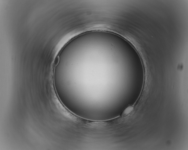 X0000111461392200907201103