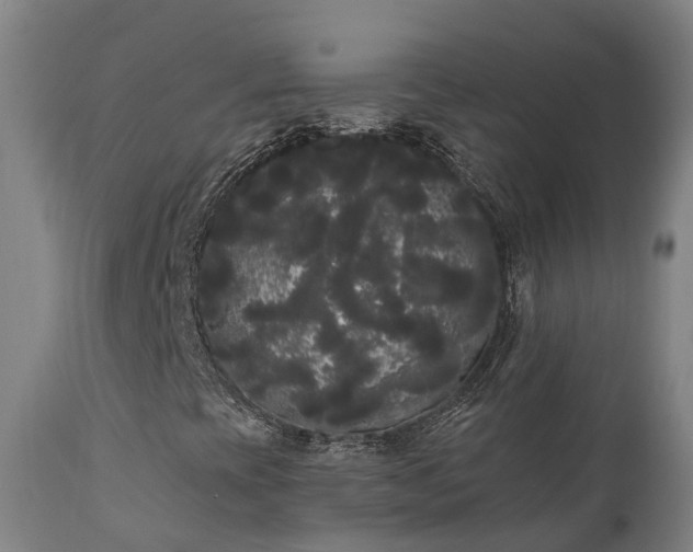 X0000111461393200907201102