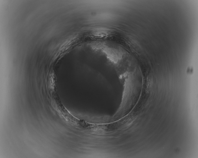 X0000111461394200907201102