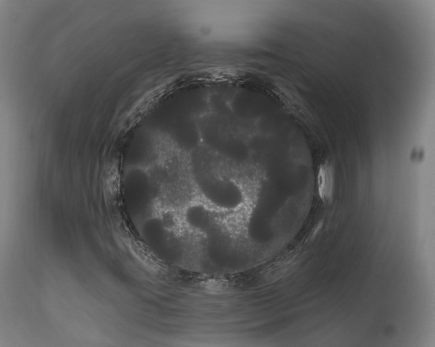 X0000111461395200907201102