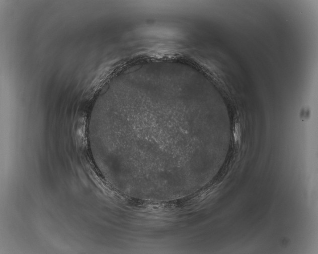 X0000111461396200907201102