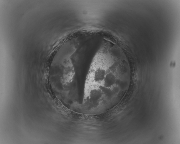 X0000111461397200907201102