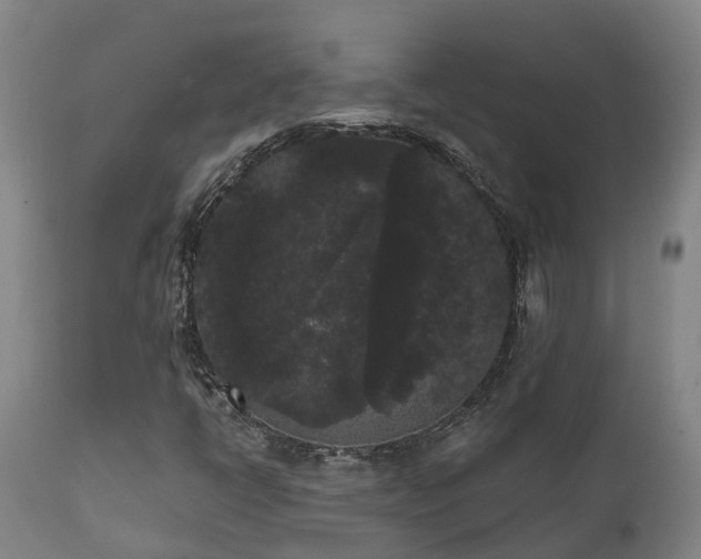 X0000111461398200907201102