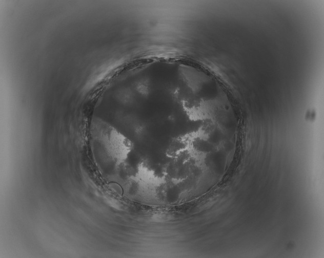 X0000111461399200907201102