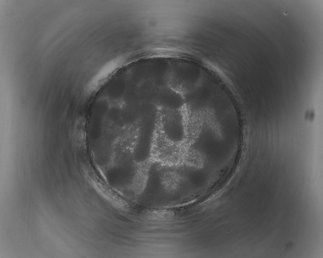 X0000111461403200907201102