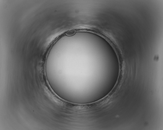 X0000111461404200907201102