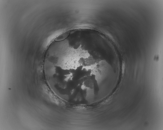 X0000111461405200907201102