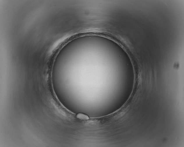 X0000111461406200907201102