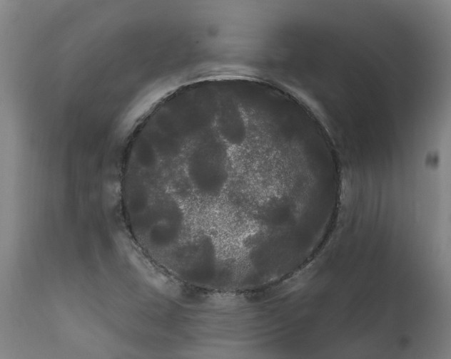 X0000111461407200907201102