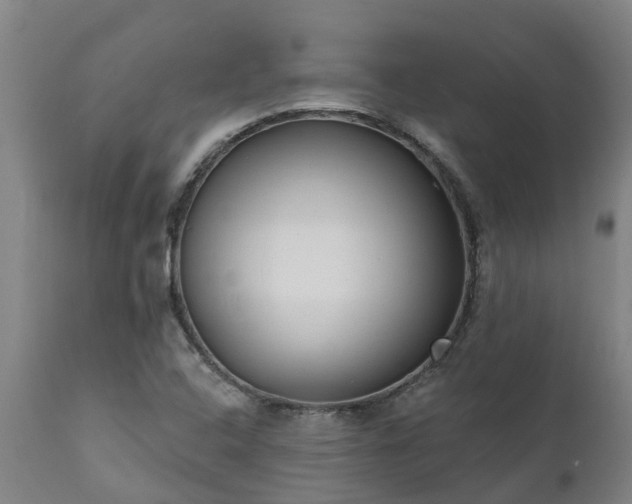 X0000111461408200907201102