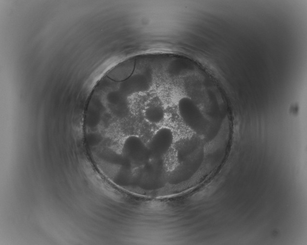 X0000111461409200907201102