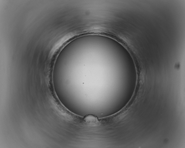 X0000111461410200907201103