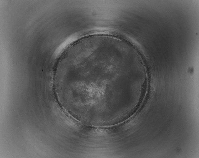 X0000111461411200907201103