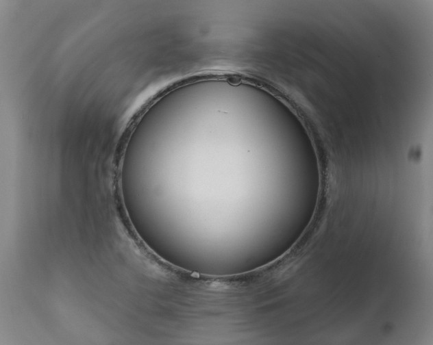 X0000111461412200907201103