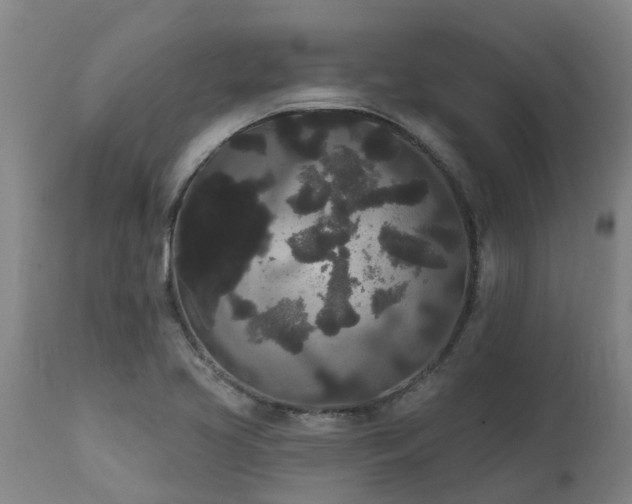 X0000111461413200907201103